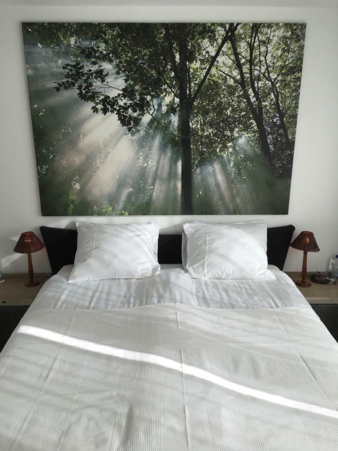 Apartment Gronau Gronau  Luaran gambar